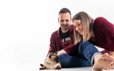 Sesión de fotos con gatos en pareja