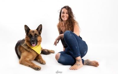 Bandanas para perros
