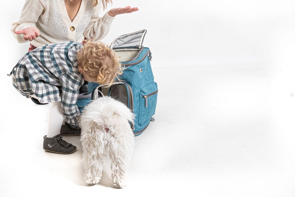 Proteger a tu Perro durante los Viajes niña de dos años juega con una mochila  freedog  y perrito bichón maltés fotografia canina para marcas por elenirc para mascotesdecolors
