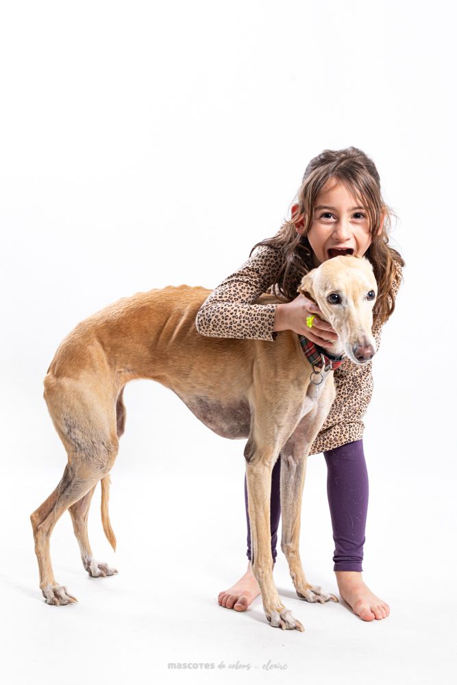 Me pirra la sandía dijo. fotografía canina en estudio en Mollet del Valles Barcelona. Perrra mestiza por Elena Rubio en mascotesdecolors