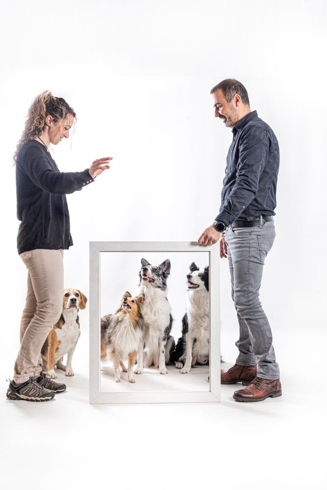Me pirra la sandía dijo. fotografía canina en estudio en Mollet del Valles Barcelona. Perrra mestiza por Elena Rubio en mascotesdecolors