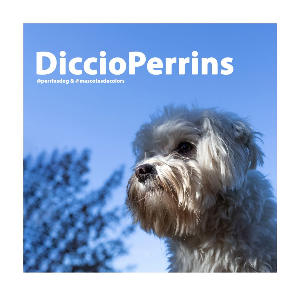 comandos perrins 38
