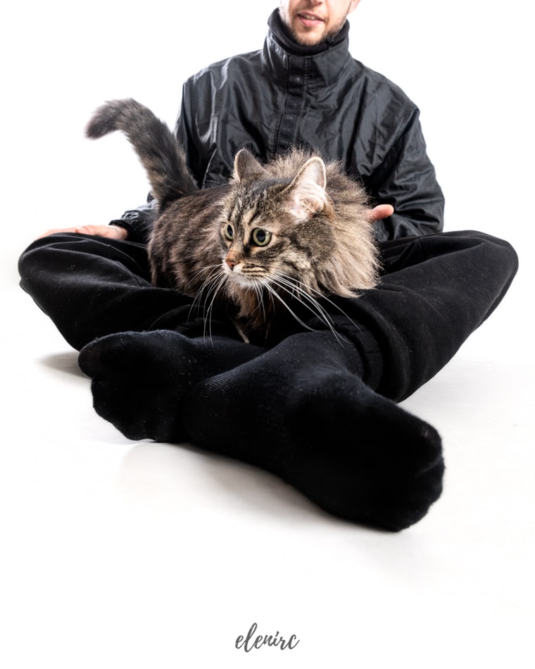 fotos con tu gato en Barcelona mascotesdecolors por Elena Rubio fotografa de mascotas en Barcelona