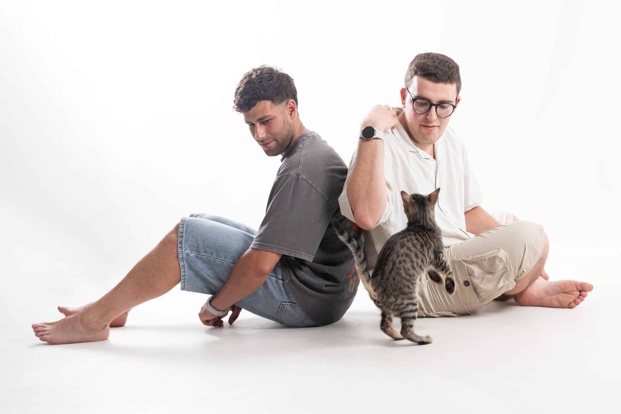 fotografia de gatos en familia