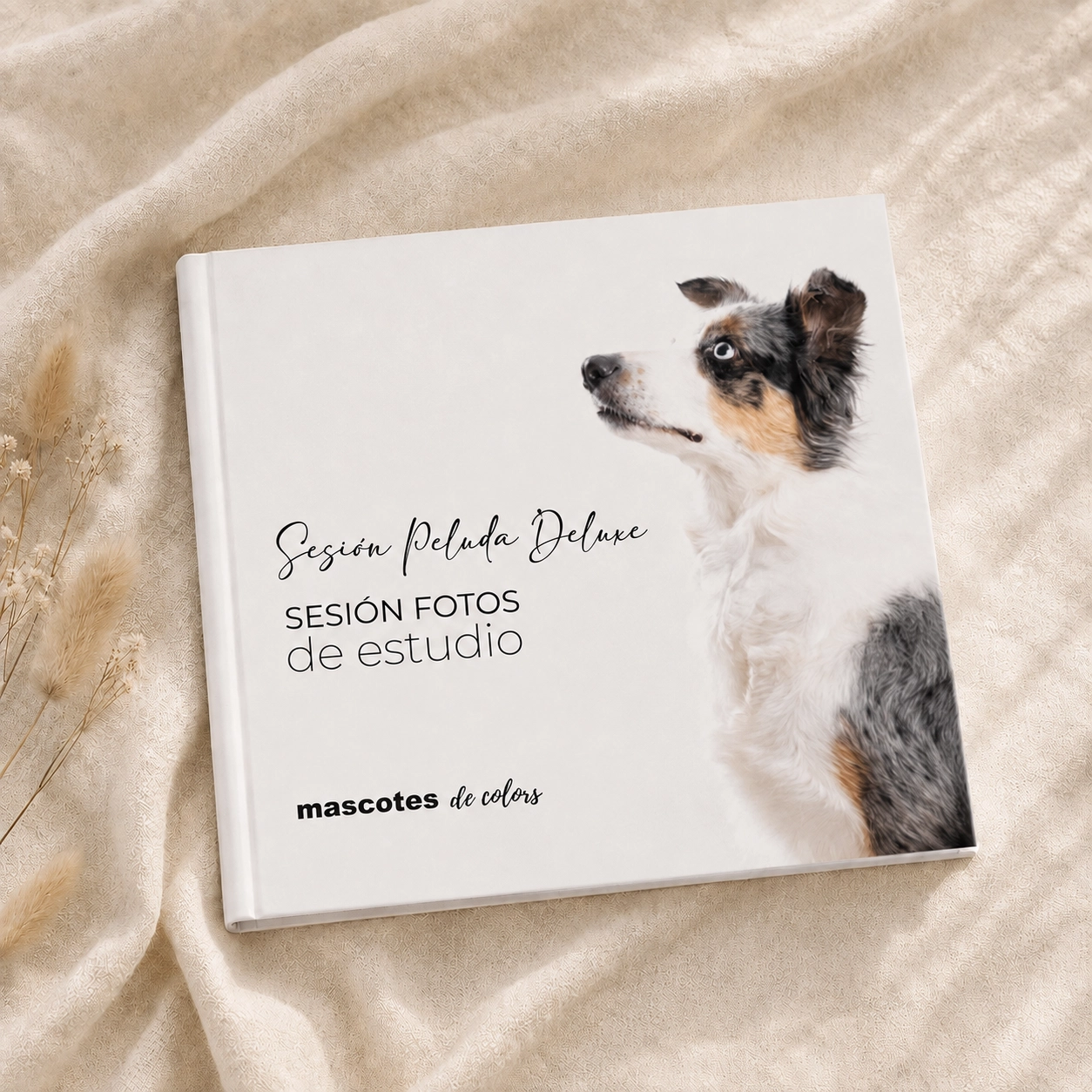 Vale regalo sesión de fotos para perros Peluda Deluxe con álbum en Barcelona y Mollet del Vallès - Mascotes de Colors