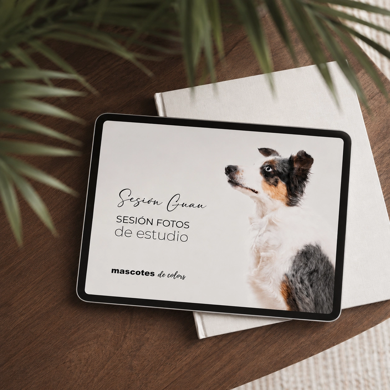 Vale regalo sesión de fotos Mini Guau en estudio en Mollet del Vallès y Barcelona - Mascotes de Colors