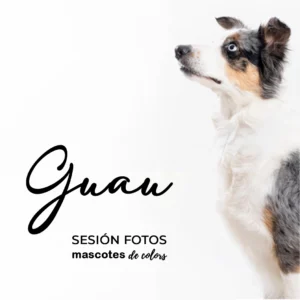 vale reglo sesion fotos perro mascotes de colors